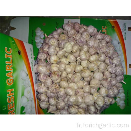 Acheter 2019 New Normal White Garlic